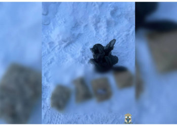 Сотрудники Госавтоинспекции задержали мужчину на трассе, а при осмотре ТС нашли почти 2 кг наркотиков