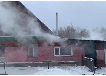 «Оставила обогреватель включённым — потеряла ребёнка: в Новосибирской области мать предстанет перед судом»