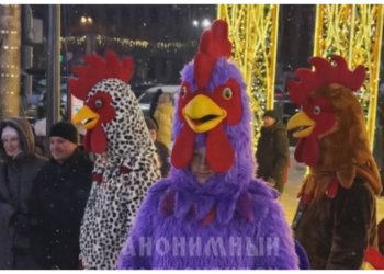 Петушиное ОПГ вымогает деньги у гуляющих по улице Ленина в Новосибирске