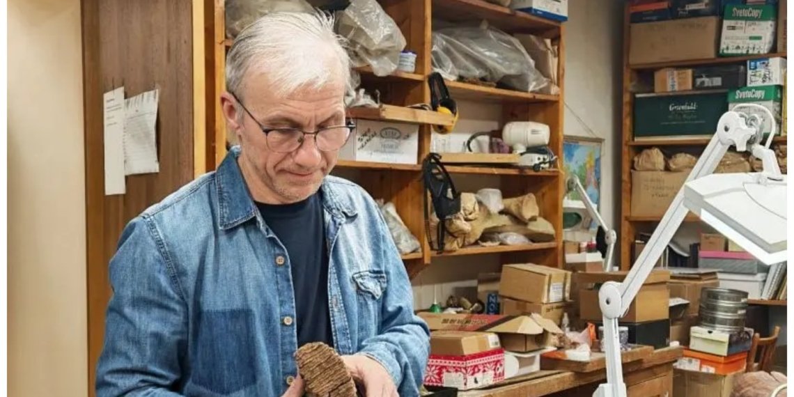 Сибирские учёные подозревают, что мамонты вымерли из-за авитаминоза