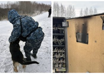 Трёх школьников-пироманов из Барабинска обвиняют в терроризме за поджог на железной дороге