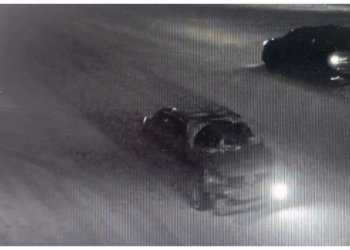 Госавтоинспекция НСО объявила в розыск водителя, сбившего детей в Новый год