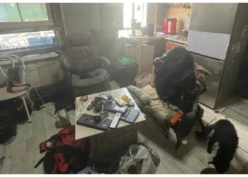 В Новосибирске начался суд над обвиняемым в истязании шестерых детей мужчиной