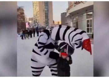 Петухи позвали друзей: мошенники-аниматоры вымогают деньги в центре Новосибирска