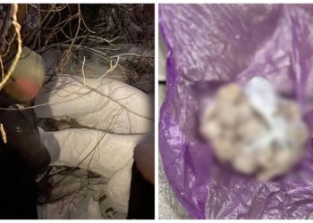 Новосибирская полиция задержала «комплектом» двух закладчиков, планировавших продать наркотики через «тайники»