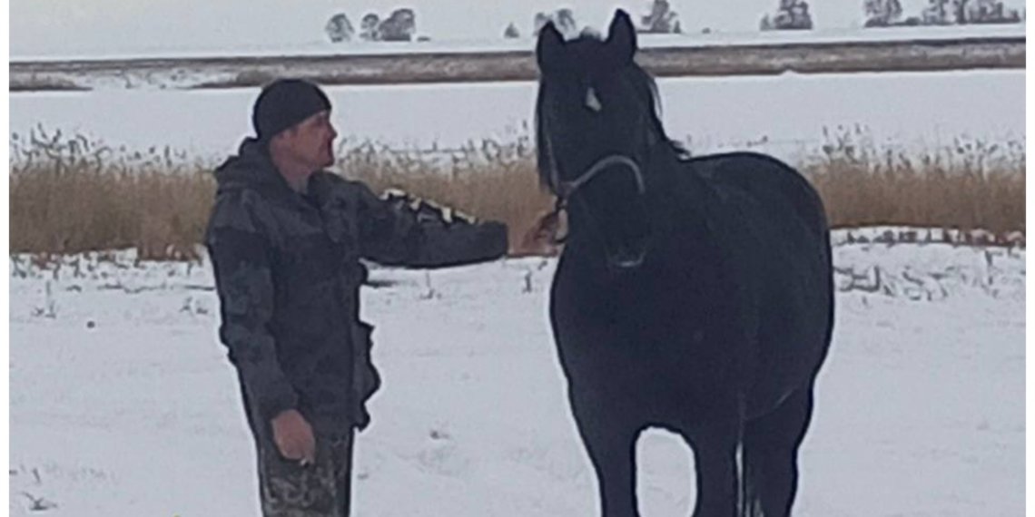 Двух конокрадов отправят под суд за «угон» копытного в Новосибирской области