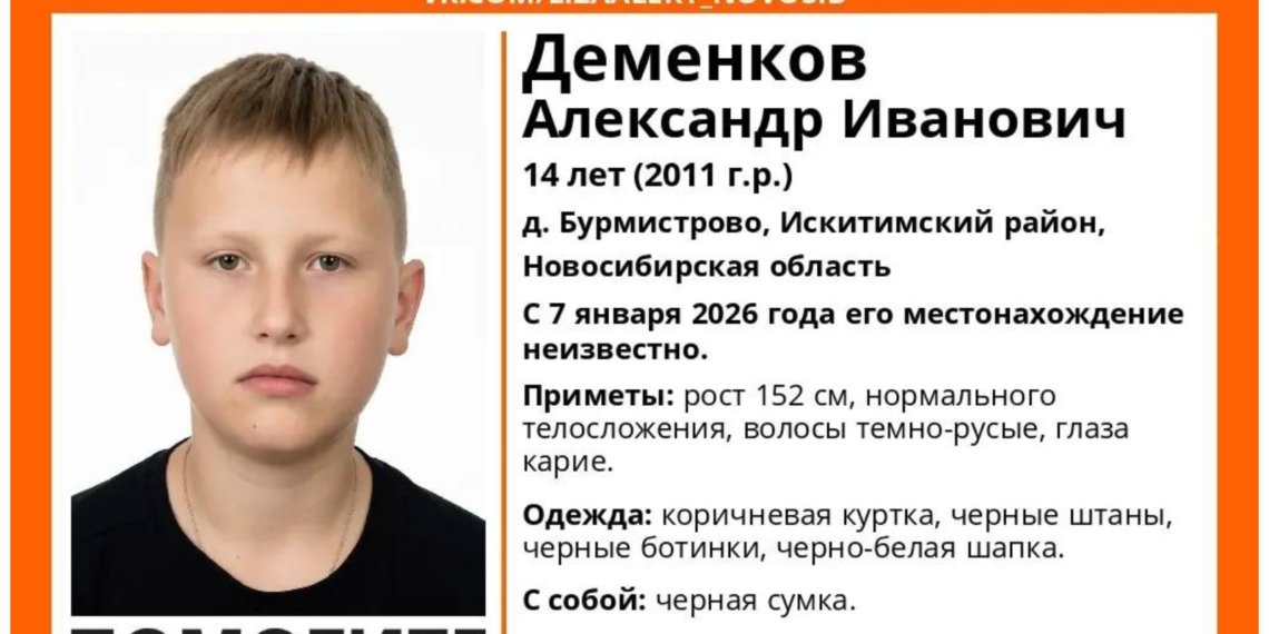 Пропавшего под Искитимом ребёнка разыскивает «ЛизаАлерт»