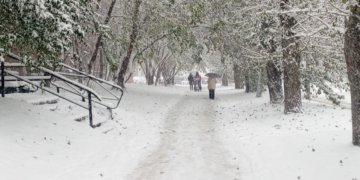 Штормовой ветер до 30 м/с ожидается в Новосибирской области