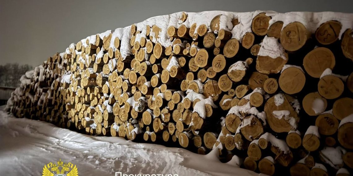 Нелегальных лесорубов задержали под Новосибирском