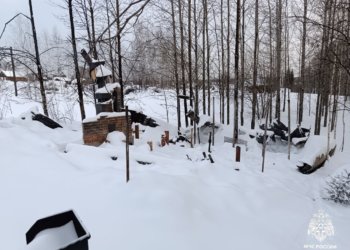 Маленький ребёнок спас семью от пожара под Новосибирском