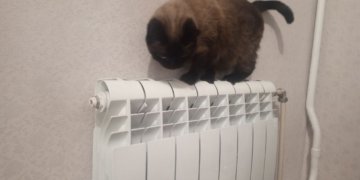 В Новосибирске из-за аварии на Часовой отключили отопление в восьми домах