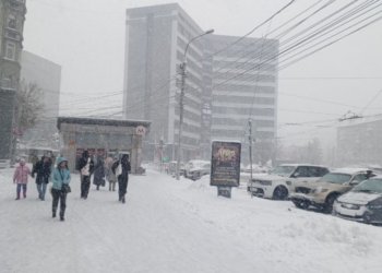Новосибирские спасатели дали советы по выживанию в аномальные морозы