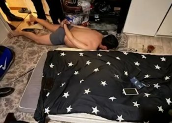 Подпольная «регистрационная служба»: как иностранцы наживались на мигрантах, продавая фальшивые бумаги