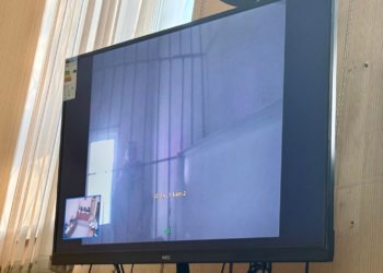 Оформила кредиты на друзей: мошенница из Новосибирска лишится свободы на 4,5 года за кражу 5 млн.