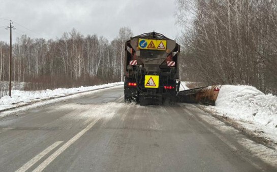 В Новосибирской области в лютые морозы на трассах спасли 25 человек