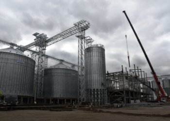 Завод «Маслов» откроют в 2026 году в Новосибирской области