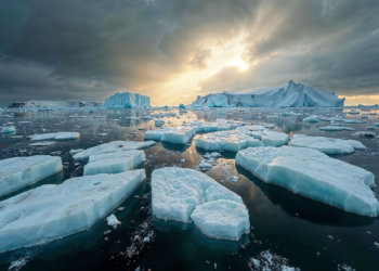 Двойной удар по Арктике: площадь льда сокращается, а его толщина стремительно уменьшается