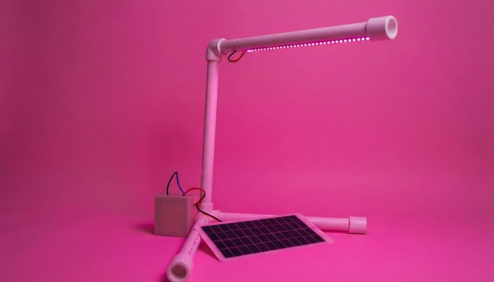 Новосибирские студенты создали экологичную фитолампу на солнечных батареях для комнатных растений