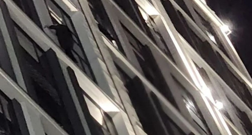 Спасатели сняли новосибирца с карниза 13 этажа