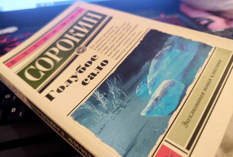 Роман Сорокина «Голубое сало» сняли с продажи в России