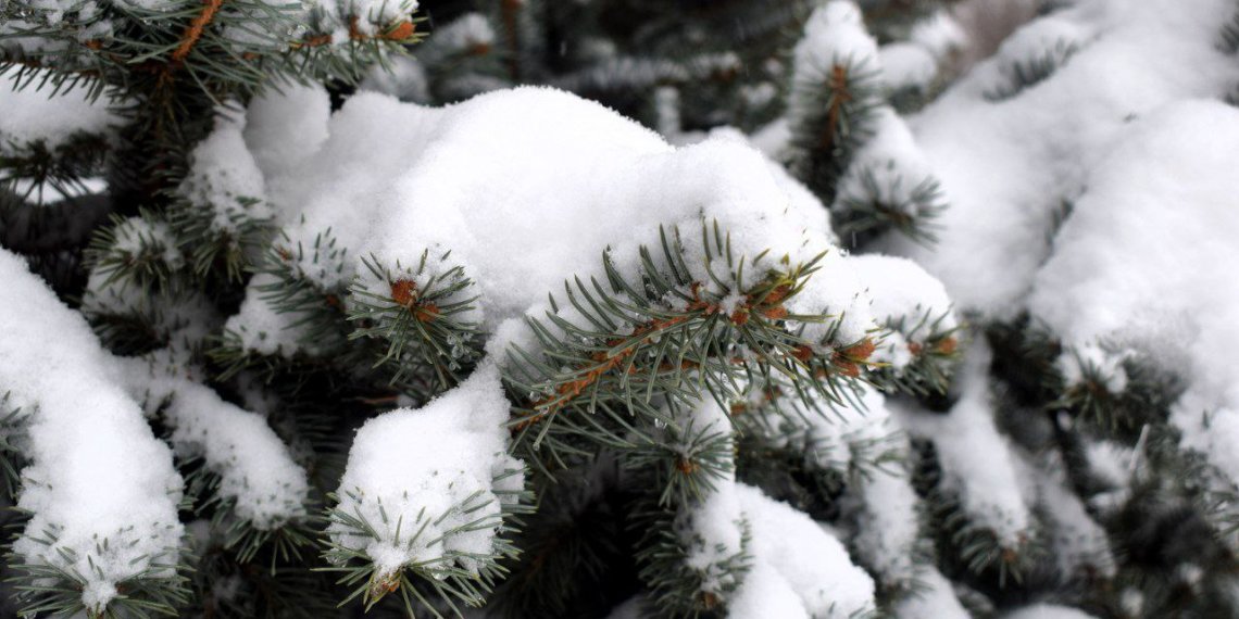 Похолодание до -42 ожидается в Новосибирской области