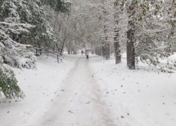 Зима не сдаётся: морозы до -40 придут в Новосибирскую область