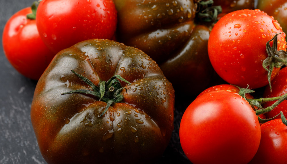 Партию заражённых опасным вирусом помидоров массой 18 тонн вернули из Новосибирской области в Узбекистан