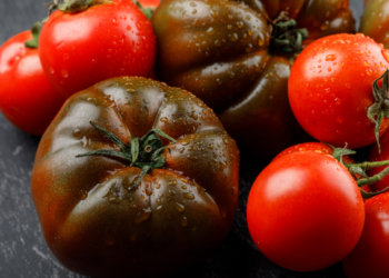 Партию заражённых опасным вирусом помидоров массой 18 тонн вернули из Новосибирской области в Узбекистан