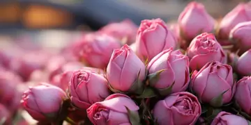 Букет к 8 Марта в Новосибирске обойдется в 2520 рублей: эксперты подсчитали стоимость цветов