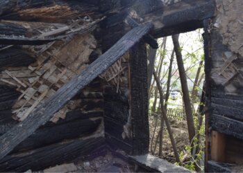 Сибирские учёные научили нейросеть заглядывать внутрь горящего дерева