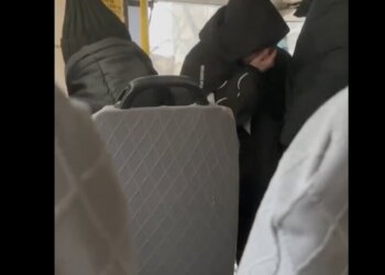 В Новосибирске отстранили от работы водителя маршрутки, ударившего ребёнка