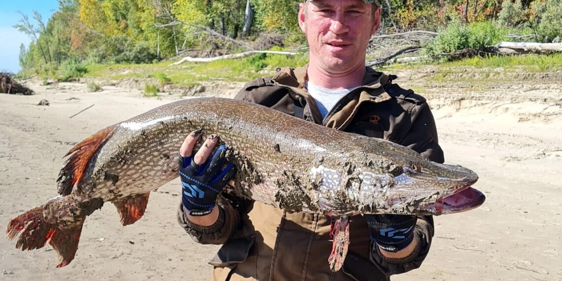 Новосибирский блогер снимает видео о рыбалке и собирает миллионы просмотров
