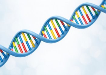 Генетика под замком: Госдума запретила вывоз ДНК-данных за границу