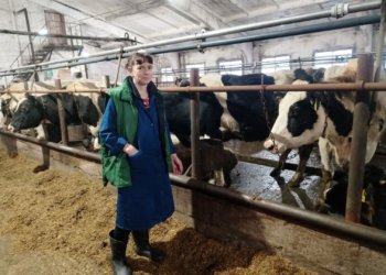 «Бурёнки узнают по голосу»: любовь сибирячки к животным приносит рекордные надои