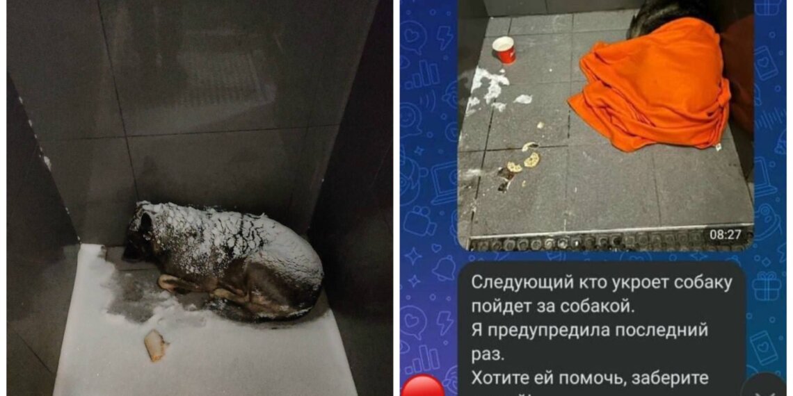 «Народный гнев» заставил предпринимателя сменить концепцию бизнеса