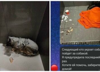 «Народный гнев» заставил предпринимателя сменить концепцию бизнеса