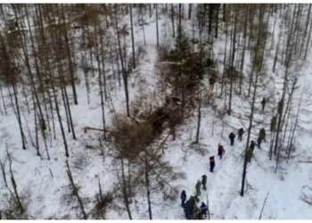 Новосибирская полицейская погибла при исполнении из-за крушения вертолёта в Амурской области