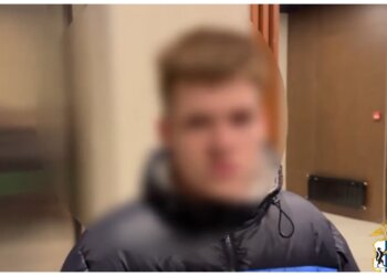 В Новосибирске поймали 19-летнего скамера за микрозаймы на жительницу Болотного