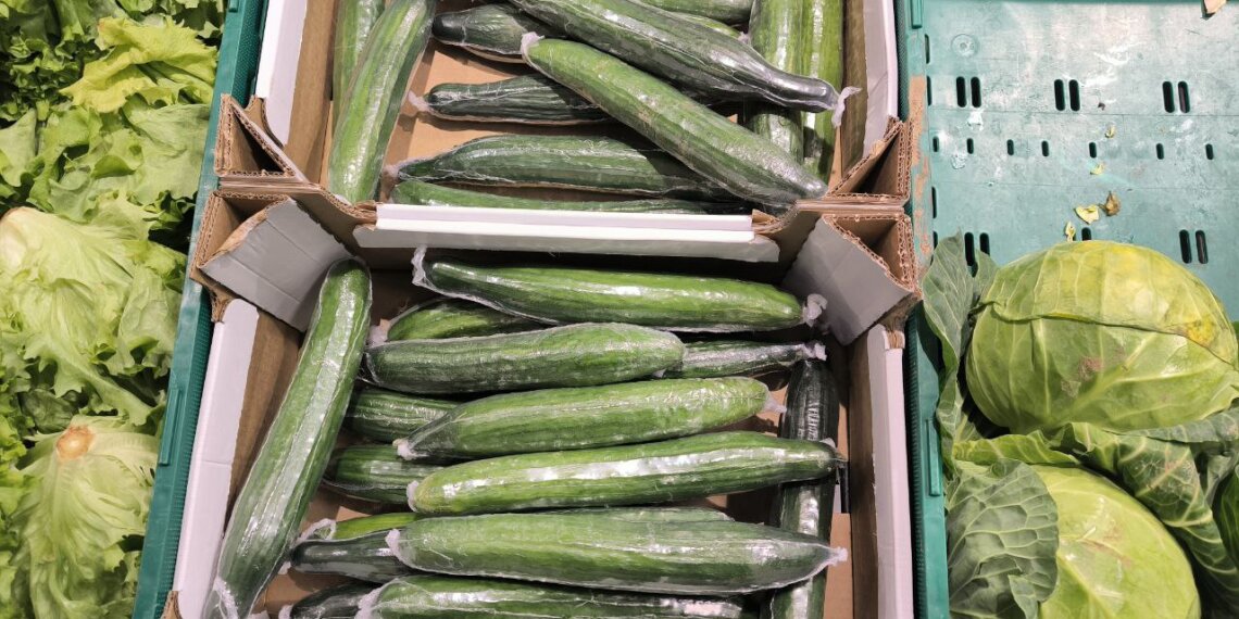 Огурцы подешевели в магазинах Новосибирска после проверок