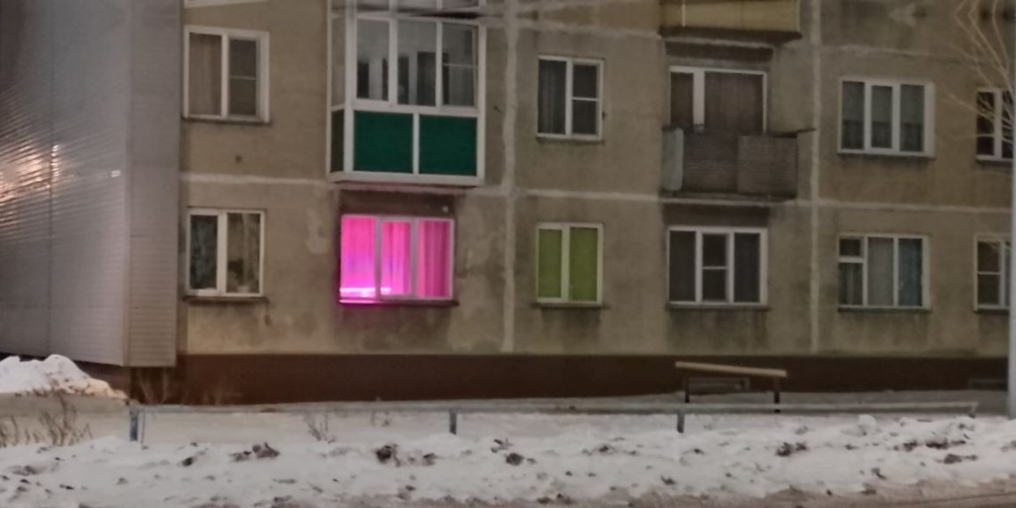 Загадочный фиолетовый! Агроном перечислила культуры, которые уже можно посеять в феврале