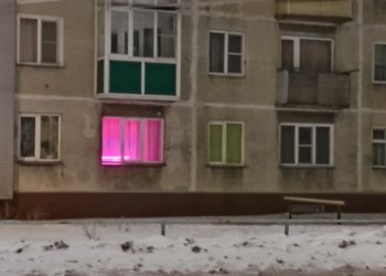 Загадочный фиолетовый! Агроном перечислила культуры, которые уже можно посеять в феврале