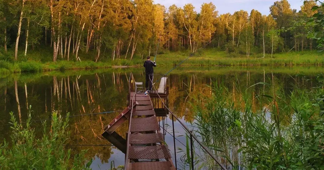 Суд отменил решение об отказе в изъятии в пользу государства новосибирского санатория