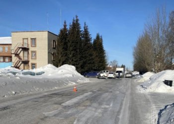 Задержан пьяный водитель, устроивший ДТП со смертельным исходом в Колыванском районе