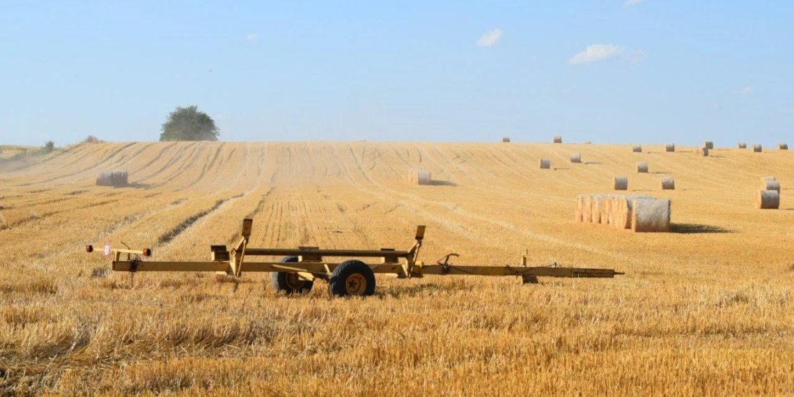 Российские аграрии получат более 6,5 тысяч единиц спецтехники в 2026 году на льготных условиях