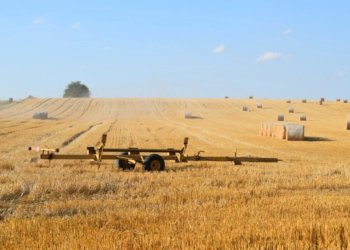 Российские аграрии получат более 6,5 тысяч единиц спецтехники в 2026 году на льготных условиях