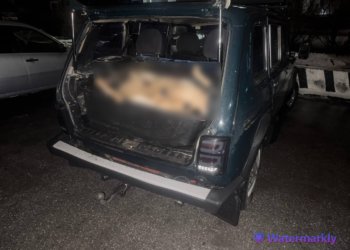 Охотники на косуль получили условные сроки в Новосибирской области