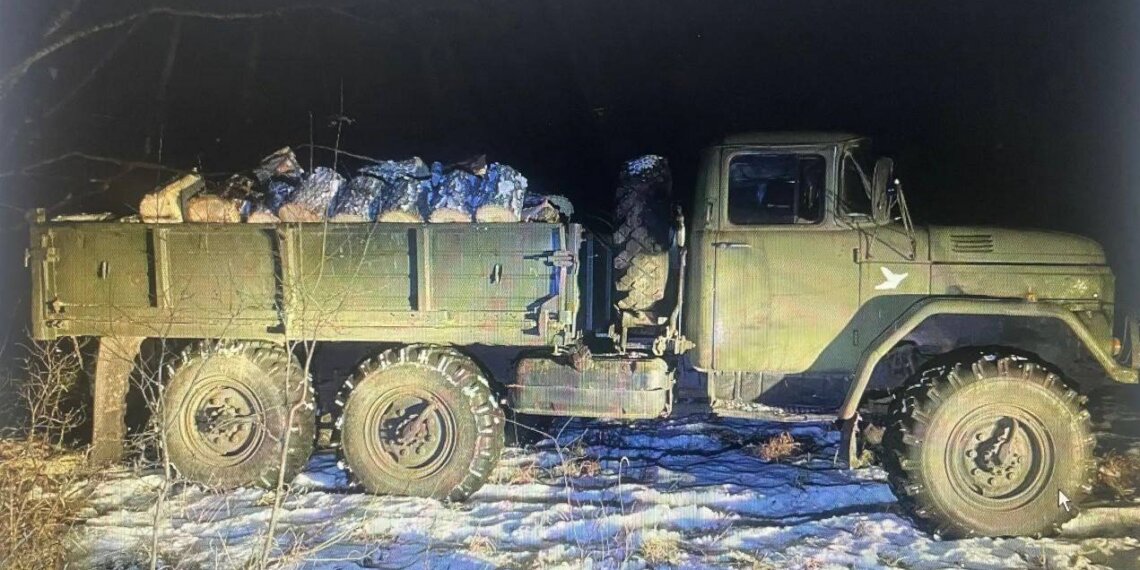 Сибиряк предстанет перед судом за семь срубленных берёз в Новосибирской области