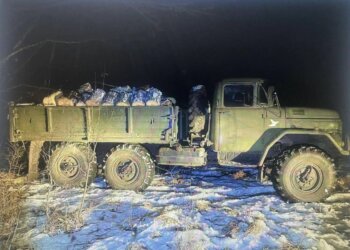 Сибиряк предстанет перед судом за семь срубленных берёз в Новосибирской области