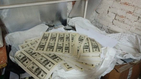 Фальшивые доллары в подвале: новосибирца осудили на 3 года колонии за подделку валюты
