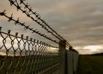 Бывший сотрудник ИК-3 осужден за получение взяток от заключенных в Новосибирске